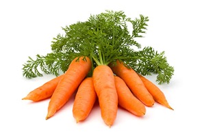 Carrot