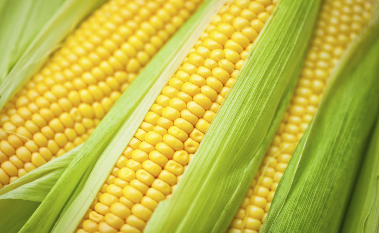 Corn